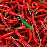 فلفل قرمز-آسا تره بار