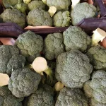 کلم بروکلی-آسا تره بار