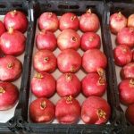 انار کرمانشاهی-آسا تره بار