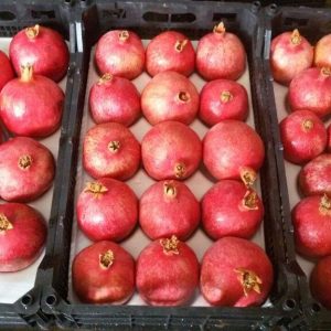 انار کرمانشاهی-آسا تره بار
