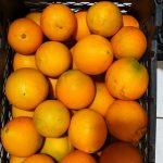 پرتقال تامسون-آسا تره بار