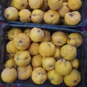 به-آسا تره بار
