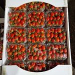 گوجه چری-آسا تره بار