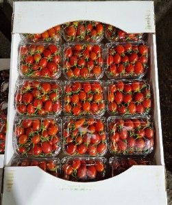 گوجه چری-آسا تره بار