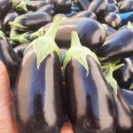 بادمجان گلخانه ای-آسا تره بار