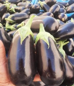 بادمجان گلخانه ای-آسا تره بار