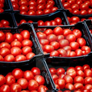 گوجه گلخانه ای-آسا تره بار