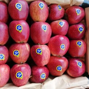 سیب قرمز-آسا تره بار