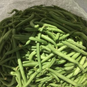 لوبیا سبز-آسا تره بار