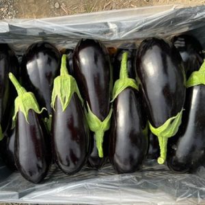 بادمجان دلمه ای-آسا تره بار