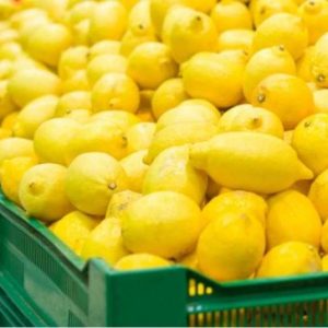 لیموترش ترش خارگیر-آسا تره بار