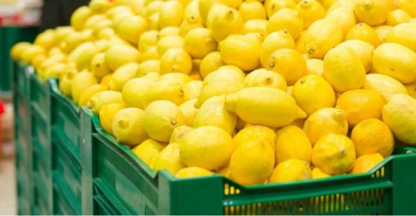لیموترش ترش خارگیر-آسا تره بار