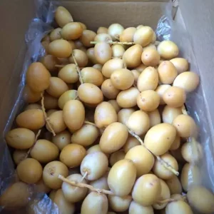 خارک-آسا تره بار
