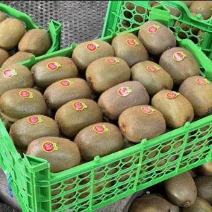 کیوی-آسا تره بار