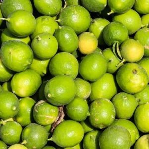 لیموترش ریزه-آسا تره بار