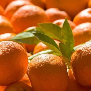 نارنج-آسا تره بار