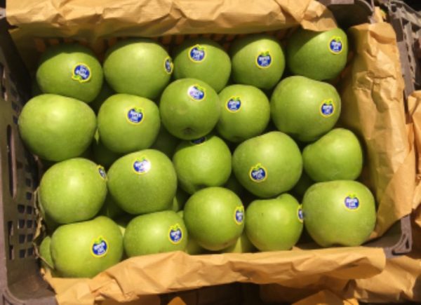 سیب سبز-آسا تره بار