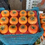 خرمالو-آسا تره بار