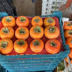 خرمالو-آسا تره بار