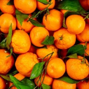 نارنگی-آسا تره بار