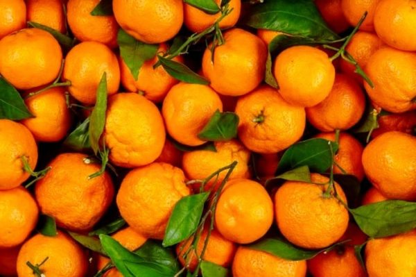 نارنگی-آسا تره بار